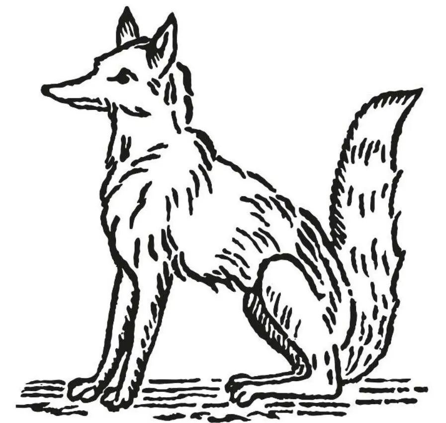 Fox Brothers & Co Ltd