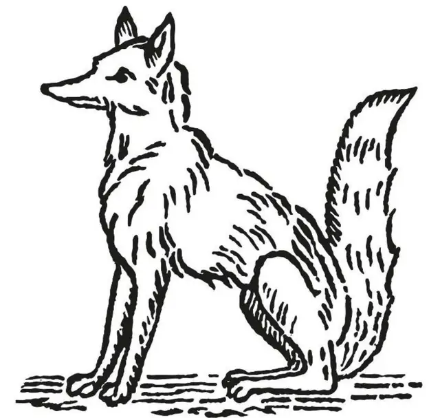 Fox Brothers & Co Ltd